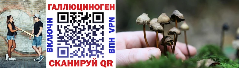 Псилоцибиновые грибы мицелий  купить наркотики сайты  Нефтегорск 